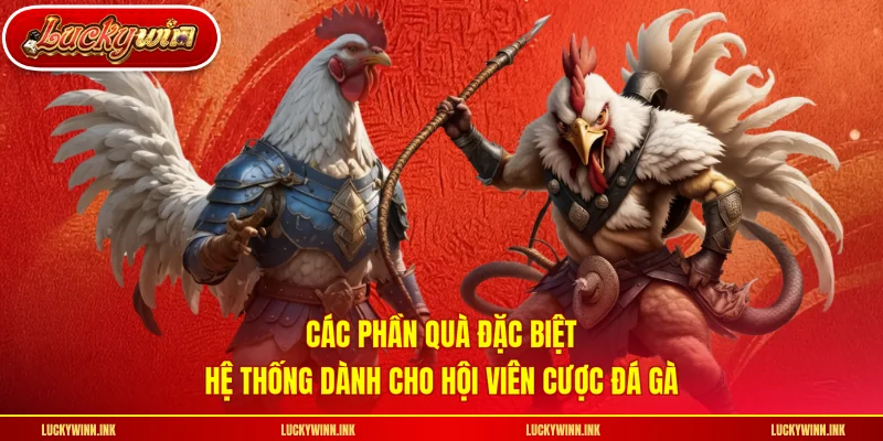 Các phần quà đặc biệt hệ thống dành cho hội viên cược đá gà